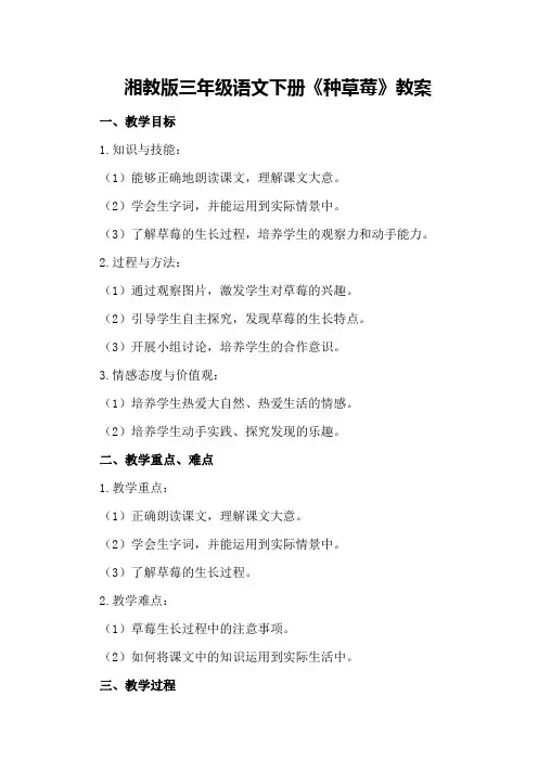 湘教版三年级语文下册《种草莓》教案