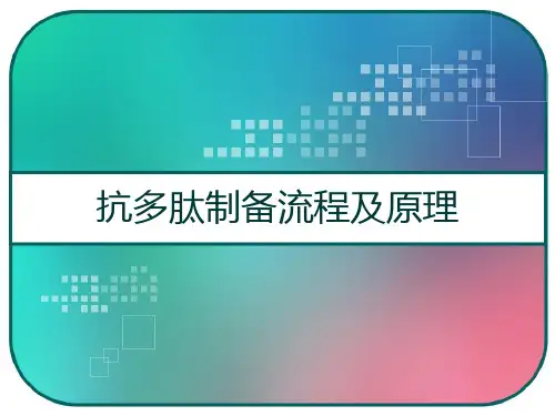 抗多肽制备流程及原理 PPT