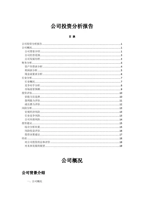 公司投资分析报告