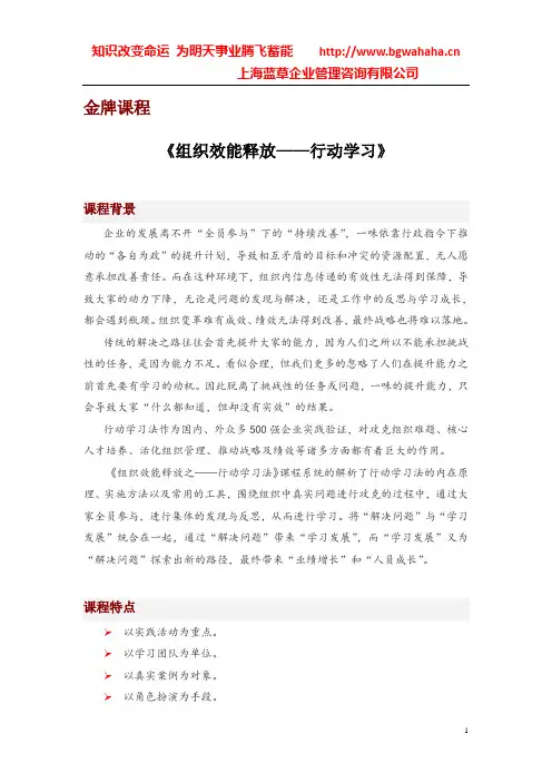 《组织效能释放——行动学习》
