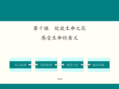 十---感受生命的意义-PPT课件 