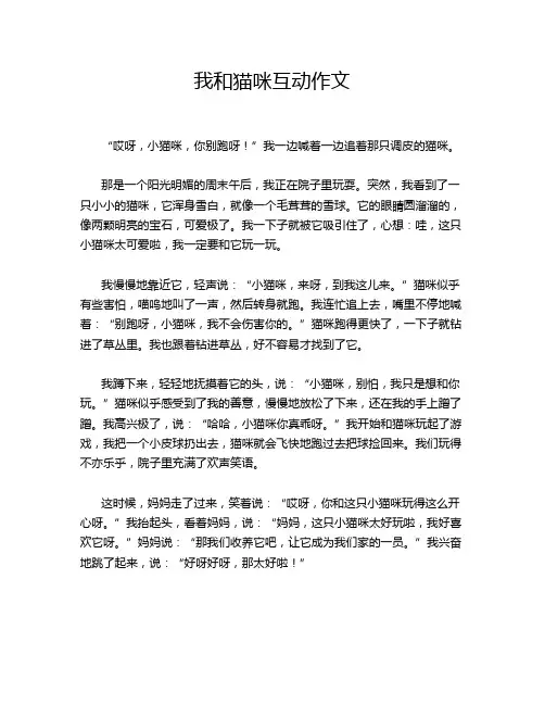 我和猫咪互动作文