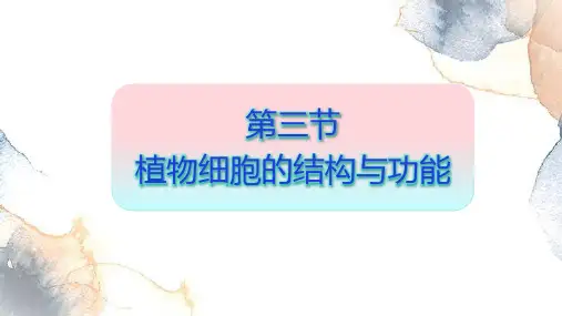 1.1.3 植物细胞的结构与功能(课件)七年级生物上册(苏教版2024)
