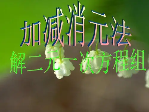 人教版数学七年级下册8.2.2加减消元法解二元一次方程组 课件 (共17张PPT)