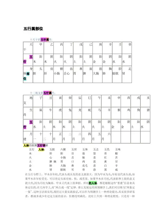 天干地支的五行属性与身体部位对应表