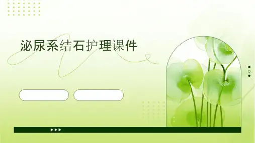 泌尿系结石护理课件