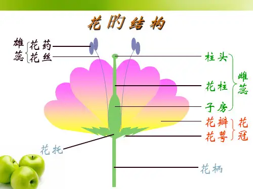 孟德尔的豌豆杂交实验相关习题