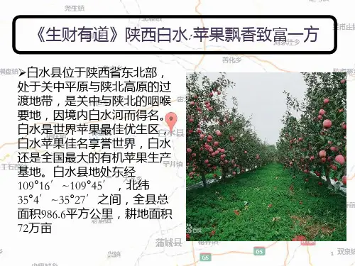 白水县苹果PPT课件