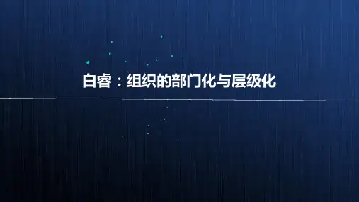 白睿：组织的部门化与层级化