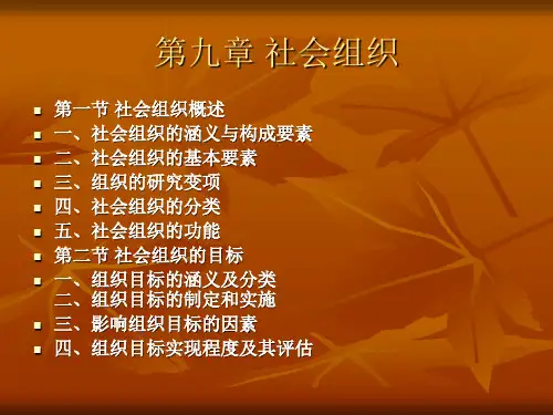 9第九章 社会组织1