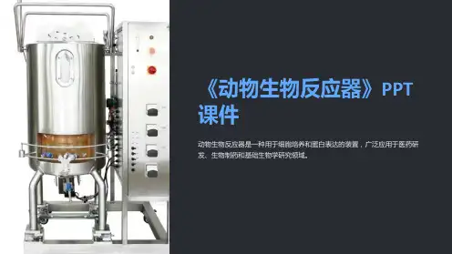 《动物生物反应器》课件