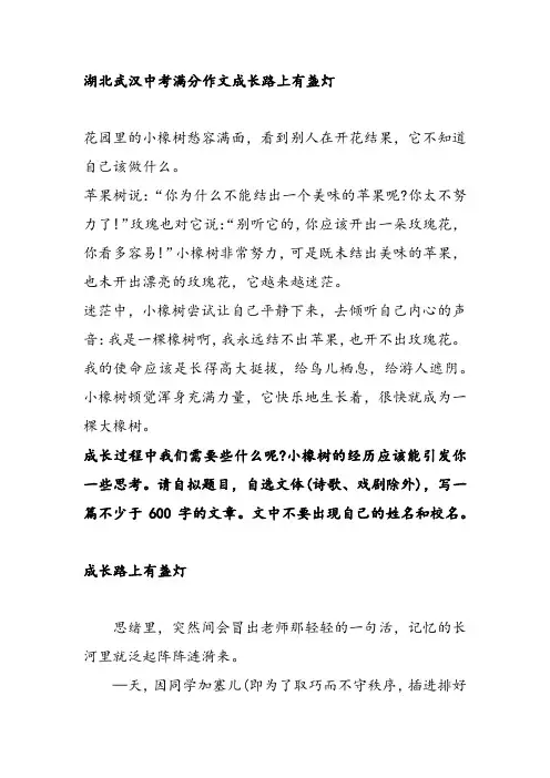湖北武汉中考满分作文成长路上有盏灯