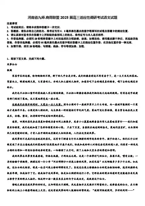 河南省九师.商周联盟2025届高三适应性调研考试语文试题含解析