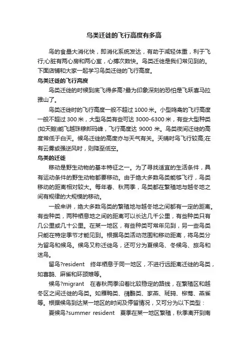 鸟类迁徙的飞行高度有多高