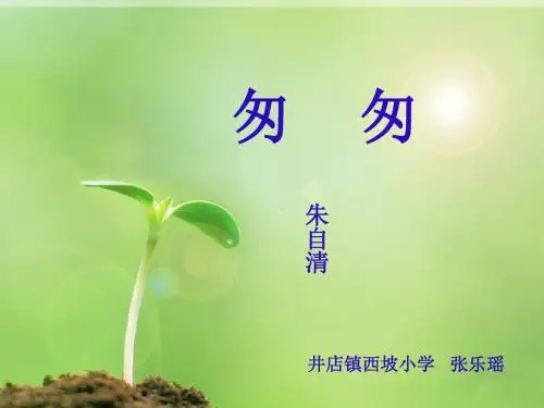 六年级语文第二课《匆匆》公开课