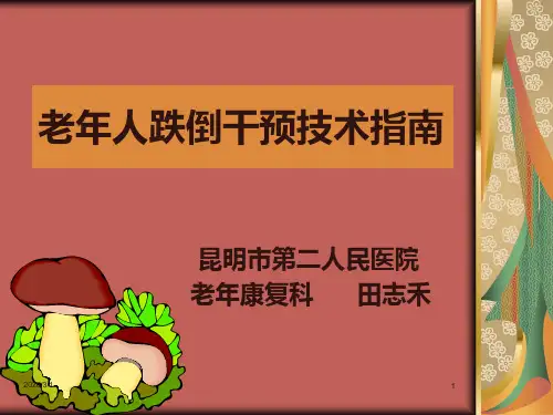 扶老指南PPT课件