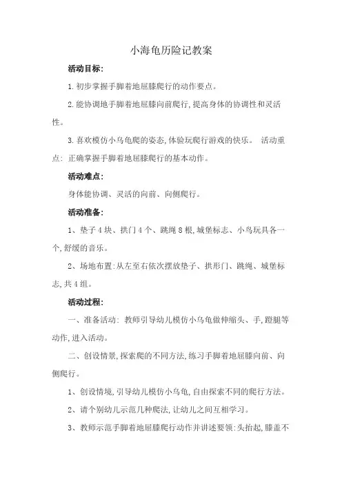 小海龟历险记教案