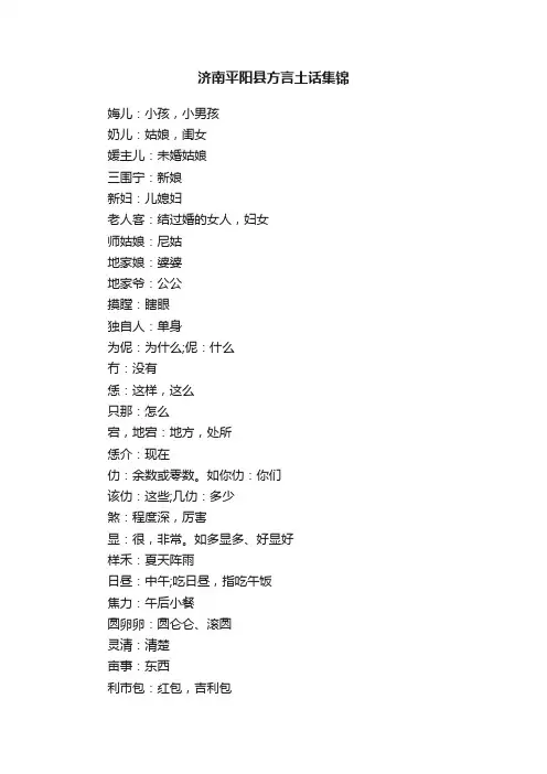 济南平阳县方言土话集锦
