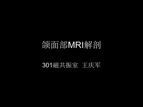 颌面部MRI解剖