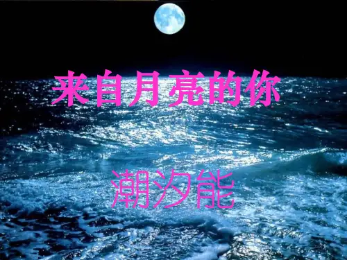 潮汐能ppt课件