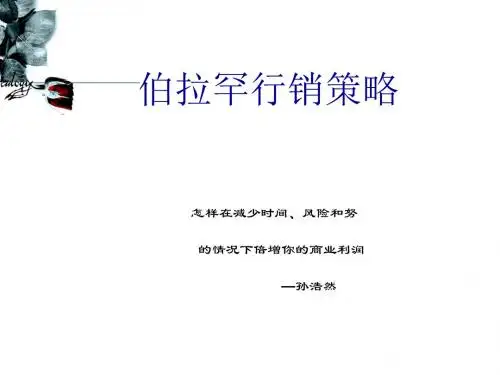 亚伯拉罕行销策略课件(PPT35张)