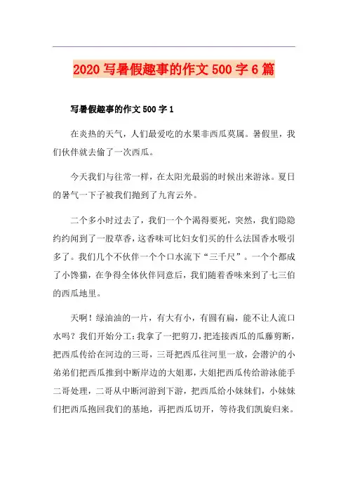写暑假趣事的作文500字6篇