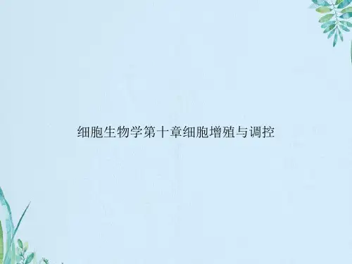 细胞生物学章细胞增殖与调控