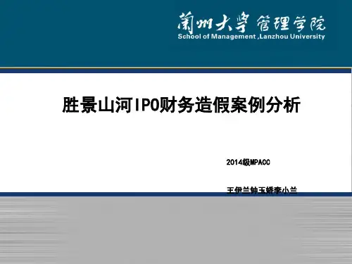 IPO财务造假案例分析(ppt 44张)