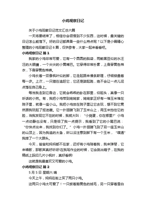 关于小鸡观察日记范文汇总六篇