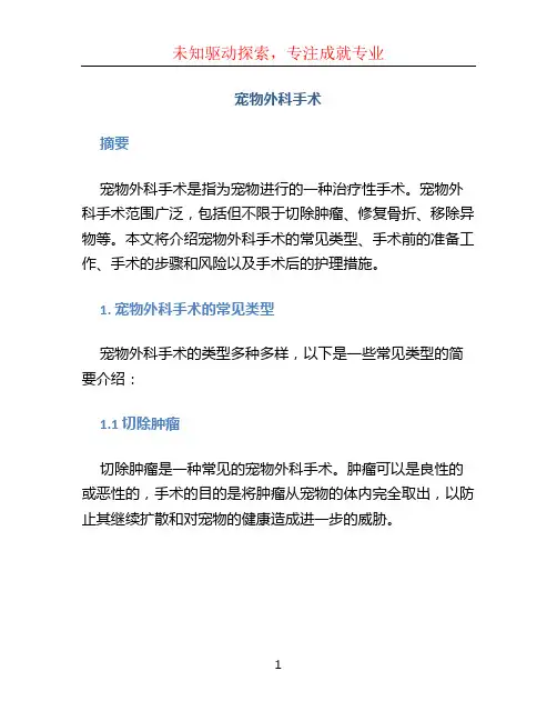 宠物外科手术 (2)