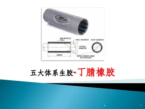 丁腈橡胶NBR