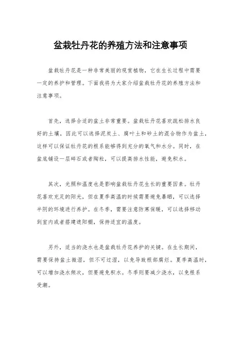 盆栽牡丹花的养殖方法和注意事项