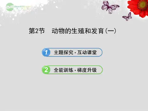 八年级生物上册 第十九章 生物的生殖和发育 6.19.2动物的生殖和发育(一)课件 北师大版