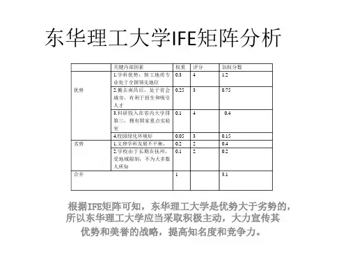 东华理工大学IFE矩阵分析