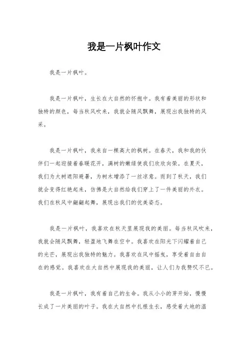 我是一片枫叶作文