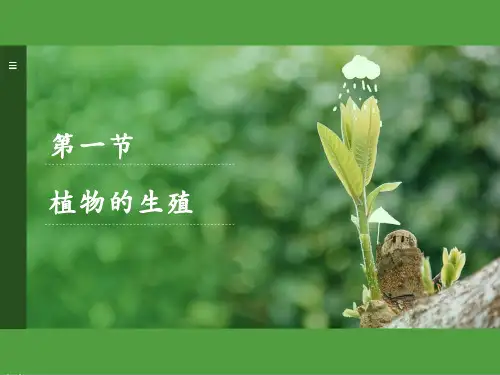 人教版生物八年级下册《植物的生殖》说课课件
