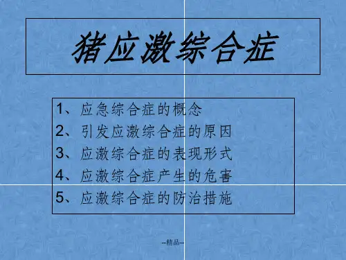 养猪生产过程中不可忽视的猪应急综合征
