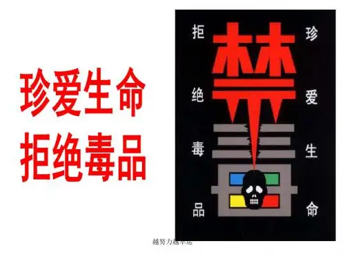 《珍爱生命 拒绝毒品》毒品预防教育课件-医学课件