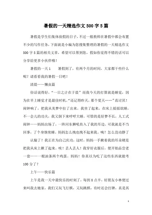 暑假的一天精选作文500字5篇
