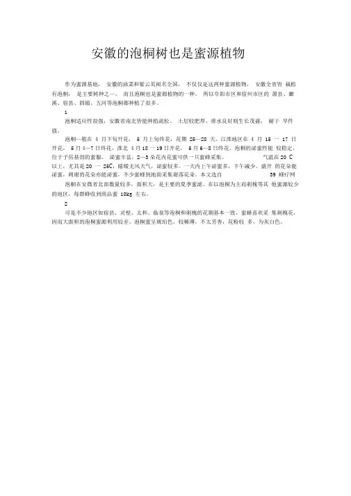 安徽的泡桐树