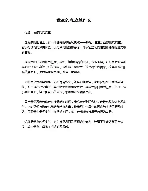 我家的虎皮兰作文