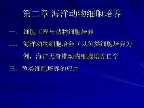 海洋生物技术—海洋动物细胞培养定稿
