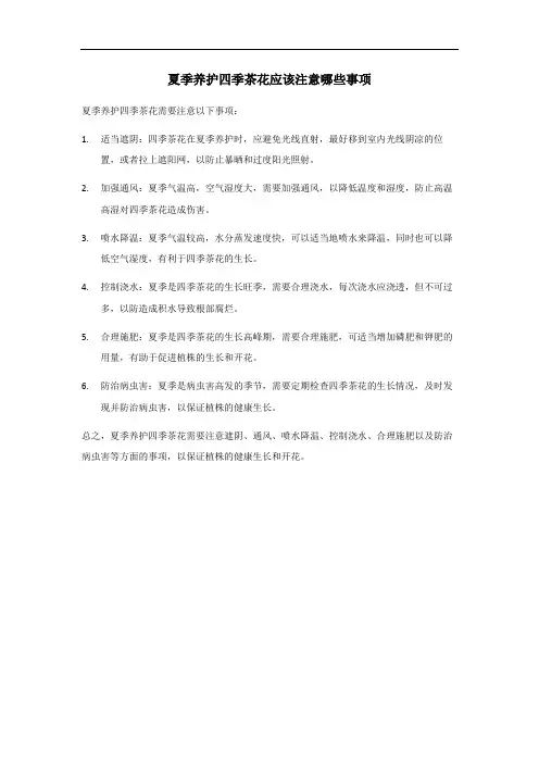 夏季养护四季茶花应该注意哪些事项？看完终于明白了