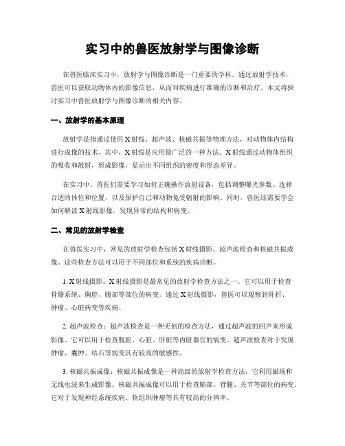 实习中的兽医放射学与图像诊断