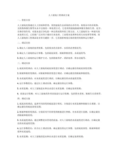人工湿地工程调试方案