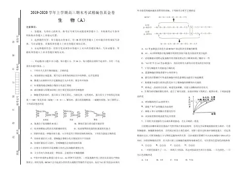 【原创】2019-2020学年上学期高三期末考试精编仿真金卷 生物(A卷) 学生版