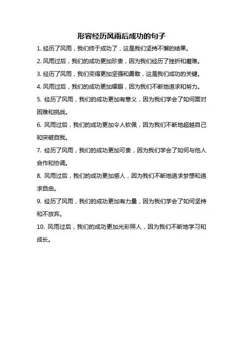 形容经历风雨后成功的句子