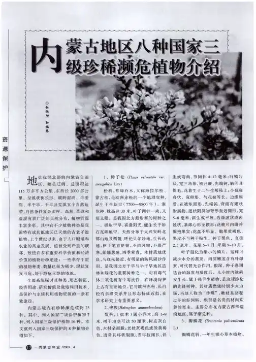内蒙古地区八种国家三级珍稀濒危植物介绍