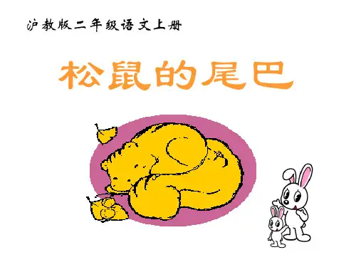 《松鼠的尾巴》课件PPT(3篇)