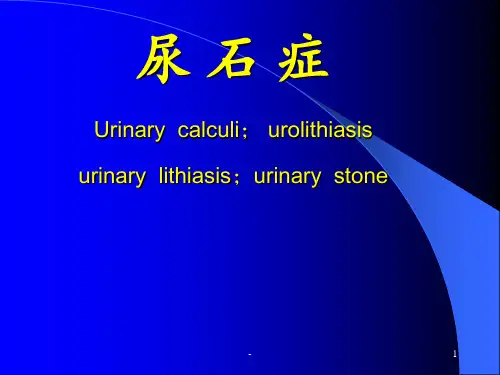 泌尿系结石课件ppt课件
